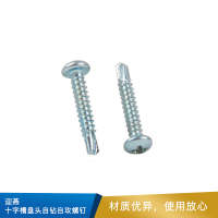 迎燕 十字槽盘头自钻自攻螺钉   GB/T15856.1   10224.2*13   蓝白锌热处理