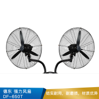 德东 强力风扇 DF-650T 挂壁式 150W 单相/220V