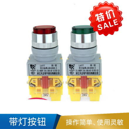 天正 带灯按钮 LAY7-11DN/220V  带灯