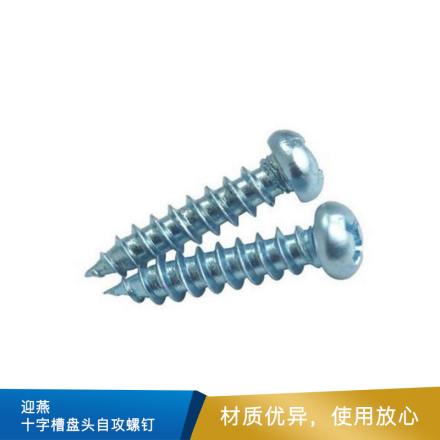 迎燕 十字槽盘头自攻螺钉   GB845-85   10224.2*16  蓝白锌热处理