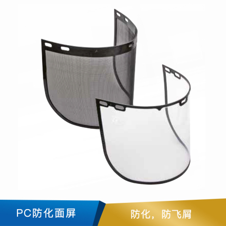 代尔塔 PC防化面屏2片   