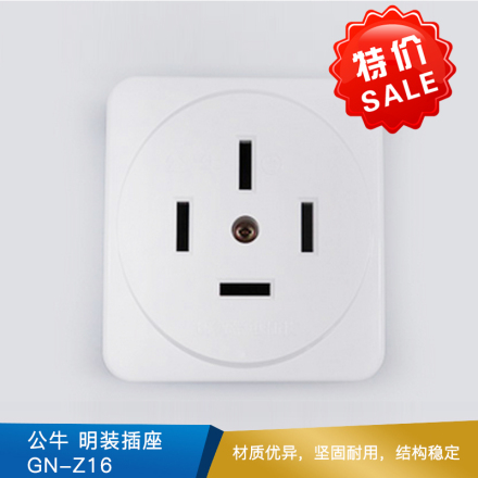 公牛 明装插座 GN-Z25