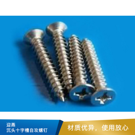 迎燕 沉头十字槽自攻螺钉  DIN7982/GB846  304  本色
