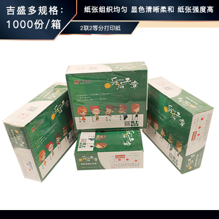 乐活  2联打印纸  2联2等分打印纸  每箱1000份  彩色撕边