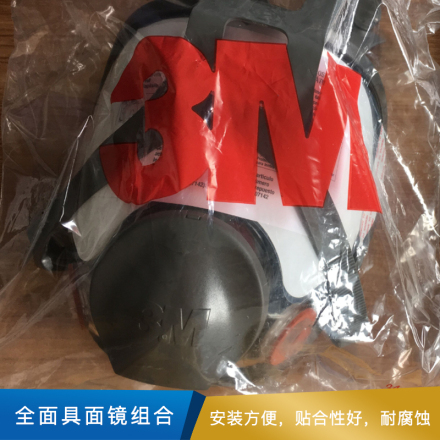3M 全面具面镜组合  6898 5个/箱