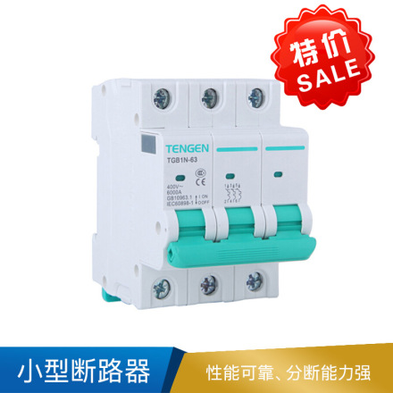 天正 小型断路器 TGB1N-63  