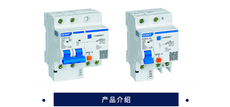 正泰 漏电断路器 NXBLE-63 