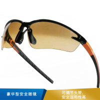代尔塔 豪华型安全眼镜渐变色 101110  