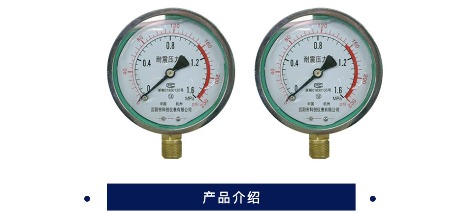 科创 耐震压力表 YN100  M20*1.5 0-1.6MPa 精度1.6
