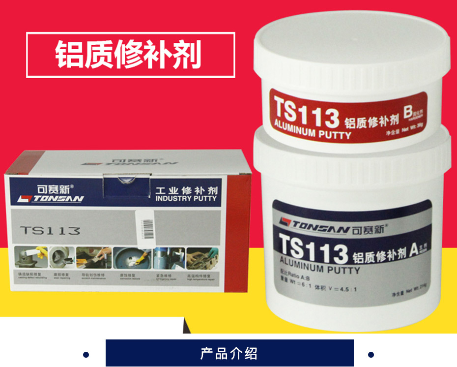 天山 铝质修补剂 TS113 250g/套