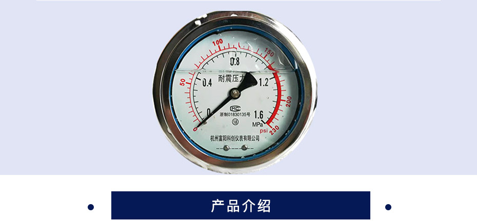 科创 轴向耐震压力表 YN100ZT  M20*1.5   0-1.6MPa 精度1.6