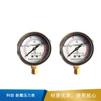 科创 耐震压力表 YN60 M14*1.5  0-1.6MPa 精度2.5