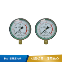 科创 耐震压力表 YN100  M20*1.5 0-1.6MPa 精度1.6