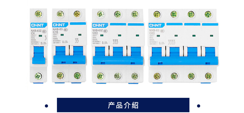正泰  小型断路器    NXB-63 