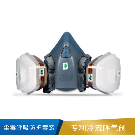 3M 尘毒呼吸防护套装  7502 10套/箱