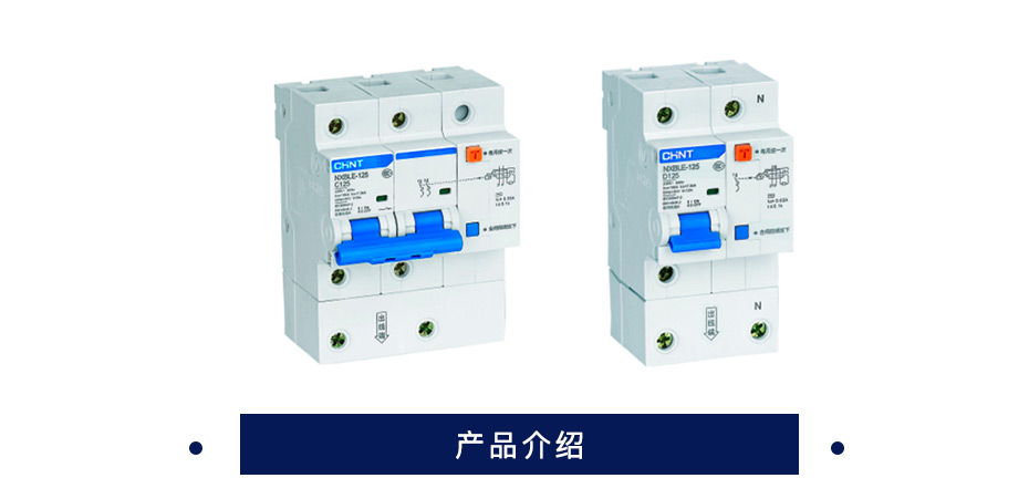 正泰 漏电断路器 NXBLE-125
