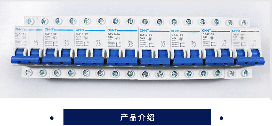 正泰 小型断路器 DZ47-60 2P C型