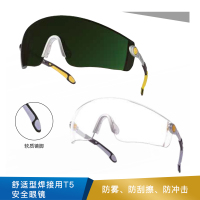 代尔塔 舒适型焊接用T5安全眼镜  101012