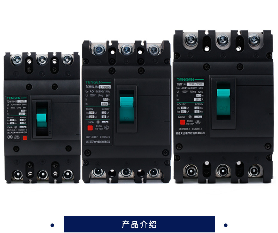 天正 塑壳断路器 TGM1N-160L