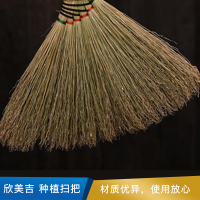欣美吉 种植扫把  竹柄 